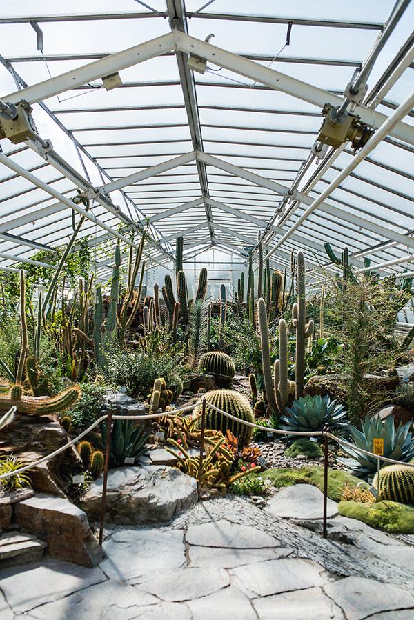 Großes Kakteenhaus im botanischen Garten München - Tollwasblumenmachen.de Großes Kakteenhaus im botanischen Garten München - Tollwasblumenmachen.de