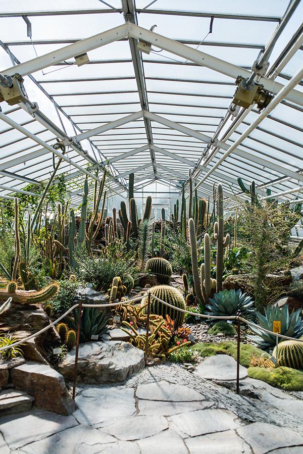 Großes Kakteenhaus im botanischen Garten München - Tollwasblumenmachen.de