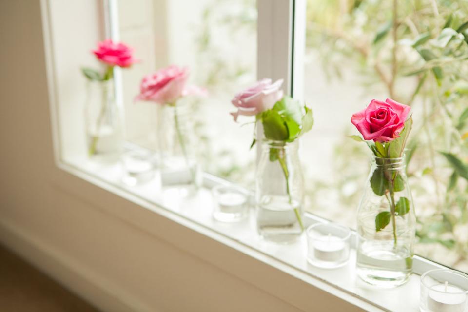 Blumen machen jedes Fenster schöner. - www.tollwasblumenmachen.de Blumen machen jedes Fenster schöner. - www.tollwasblumenmachen.de