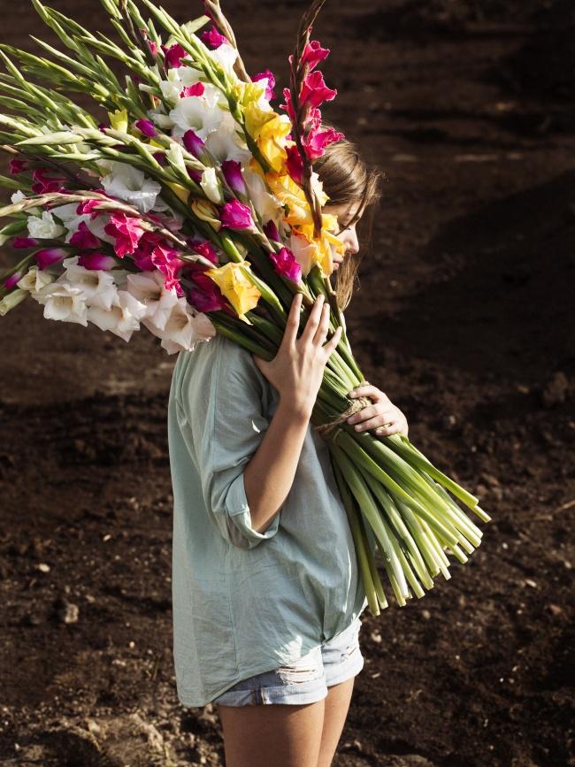 Kräftiger Gladiolenstrauß in bunten Farben - Tollwasblumenmachen.de