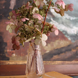 Roze droogbloem hortensia Roze droogbloem hortensia