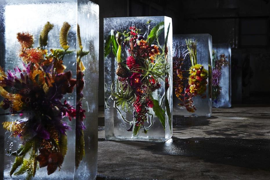Iced Flowers