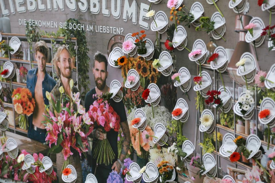 #Lieblingsblume-Townfence-Tollwasblumenmachen.de #Lieblingsblume-Townfence-Tollwasblumenmachen.de
