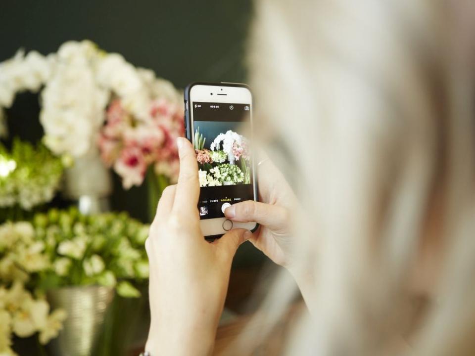 Blumenfotografie - Tollwasblumenmachen.de