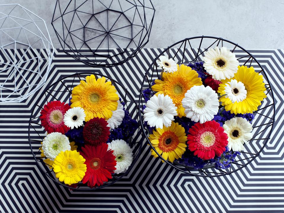 Die Gerbera im Trend &amp;quot;Reconsider Space&amp;quot; – Tollwasblumenmachen.de