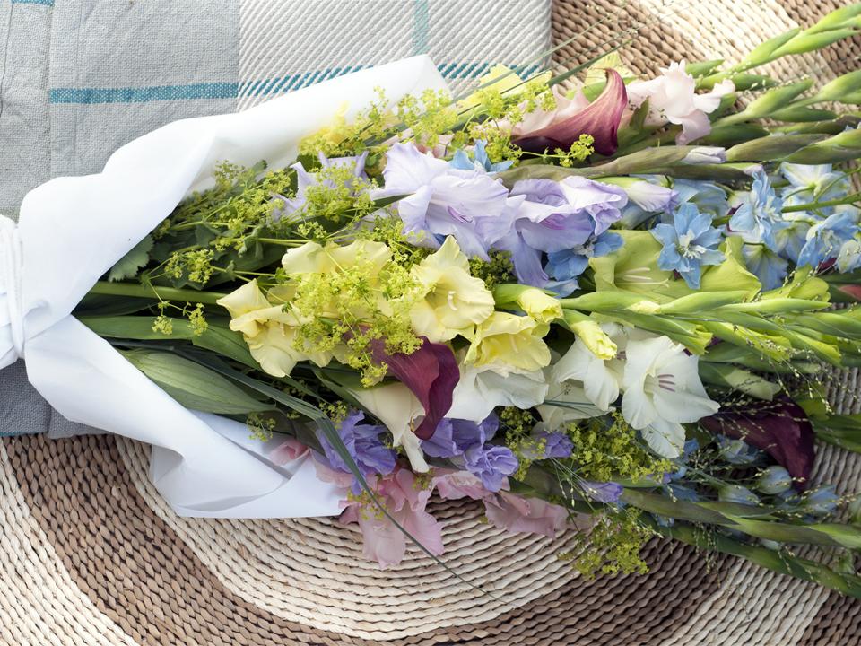 Die Kraft der Gladiole - Tollwasblumenmachen.de