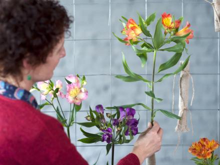 Maak een Alstroemeria gordijn, DIY! Maak een Alstroemeria gordijn, DIY! Mooiwatbloemendoen.nl