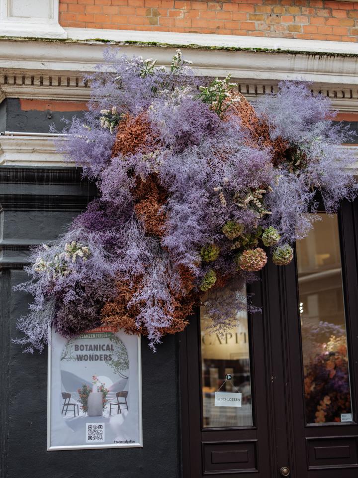 Botanical Wonders in der Botanical Gallery