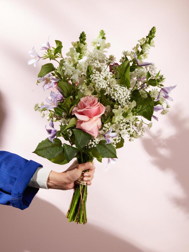 Pollenarme Blumen für Allergiker Tollwasblumenmachen.de