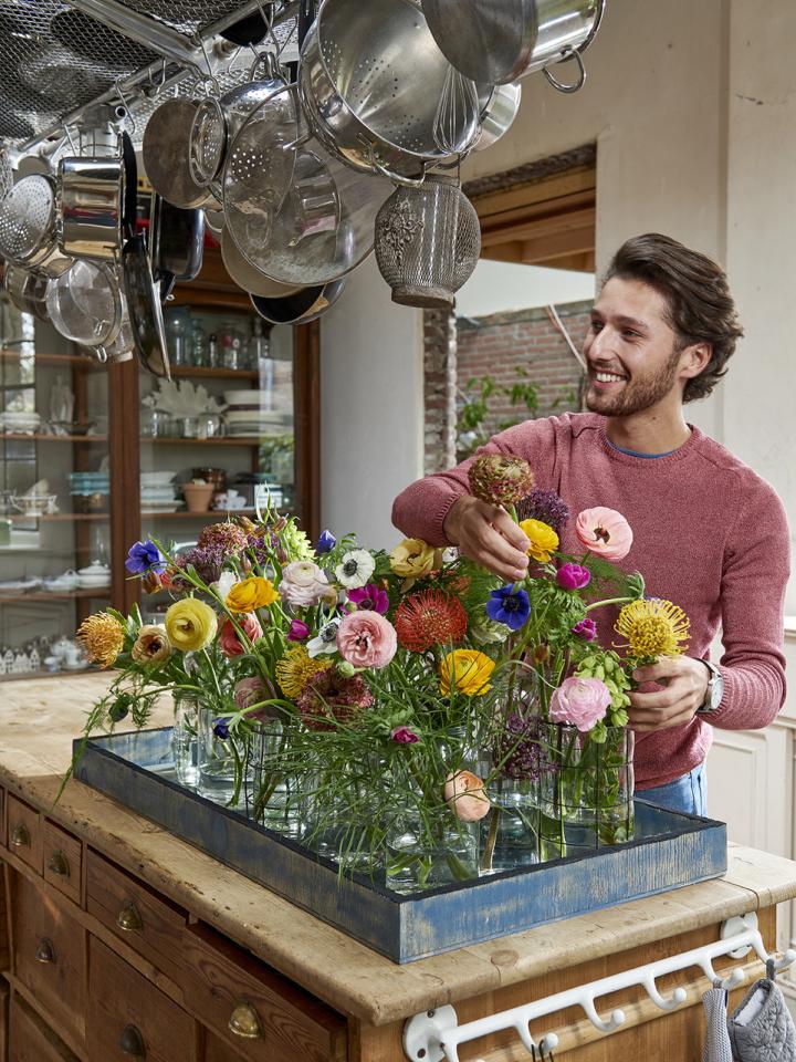 Mit voller Farbpracht in den Frühling: Die Blumenagenda im März - tollwasblumenmachen.de