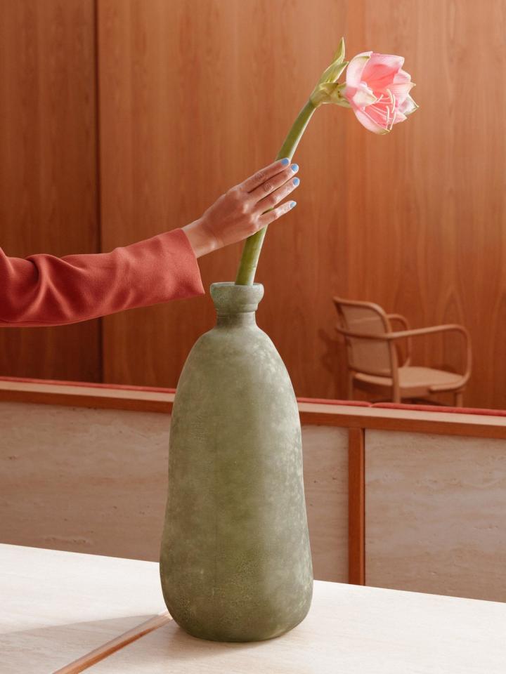 Amaryllis in der Vase | tollwasblumenmachen.de