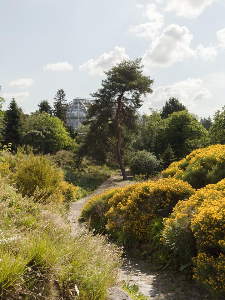 Exposé #08: hortus in huis Mooiwatbloemendoen.nl