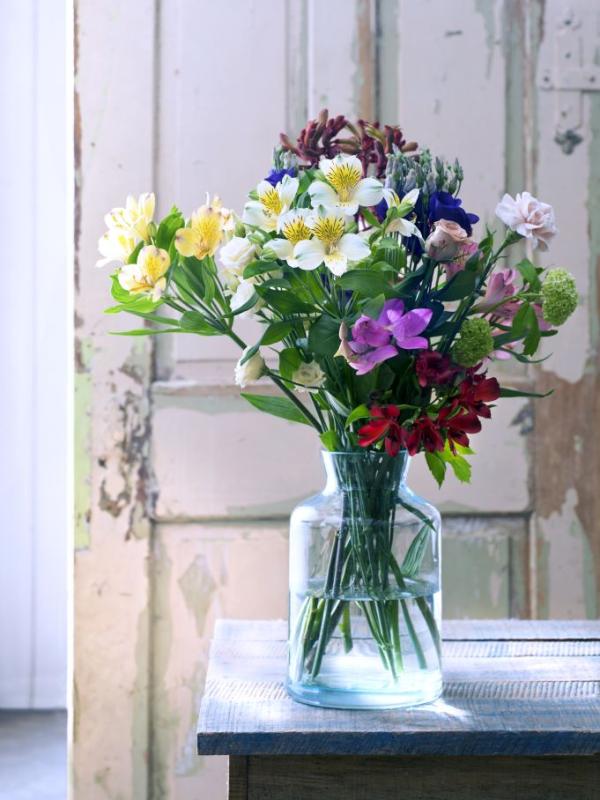 Alstroemeria Eine Blume Fur Die Freundschaft Toll Was Blumen Machen