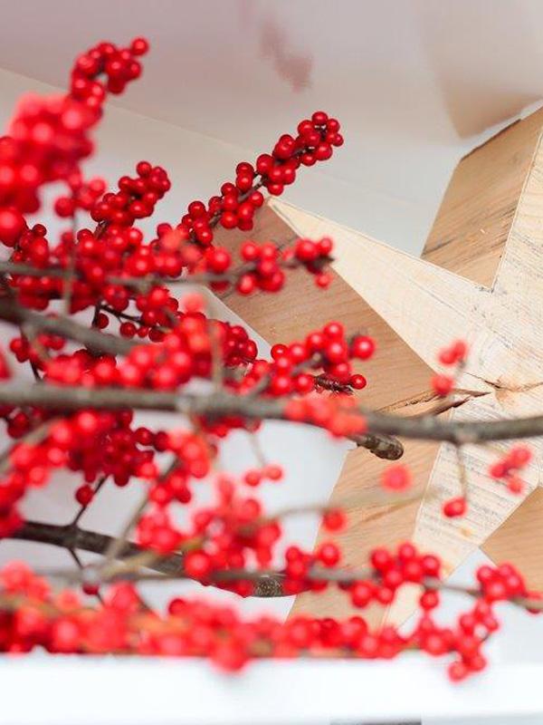 Ilex Toll Was Blumen Machen