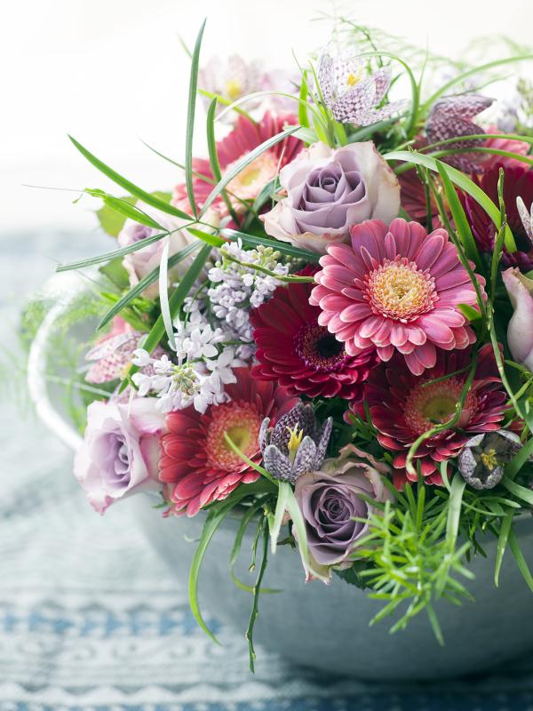 8 Interessante Fakten Uber Die Gerbera Toll Was Blumen Machen