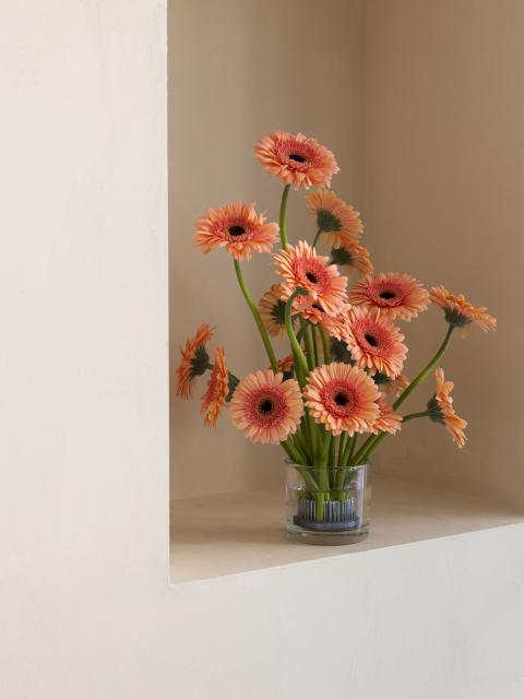 gerberas façon ikebana