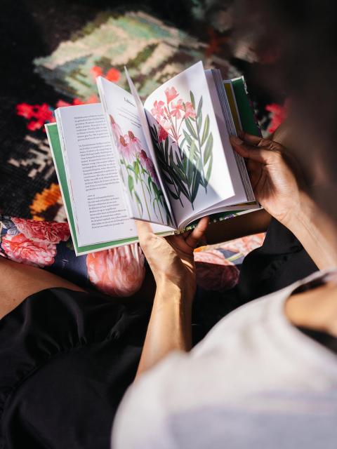 Floriografie Bücher | Tollwasblumenmachen.de
