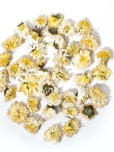 So besonders ist die Chrysantheme Tollwasblumenmachen.de