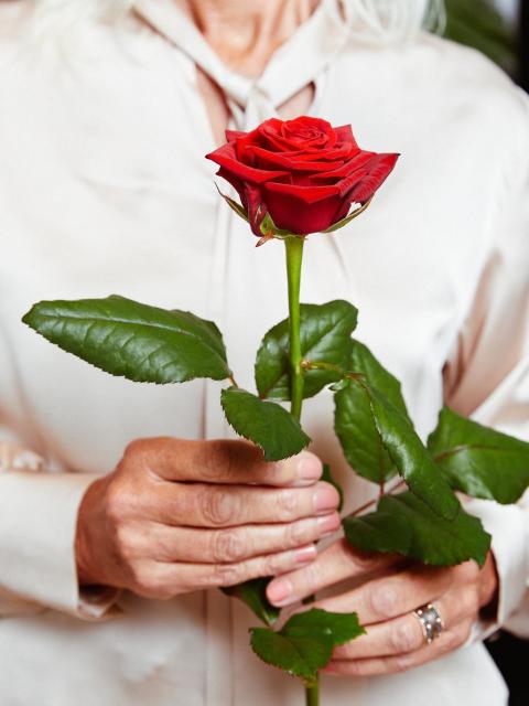 Mit Liebe schenken: Con Amore Rose zum Großelterntag
