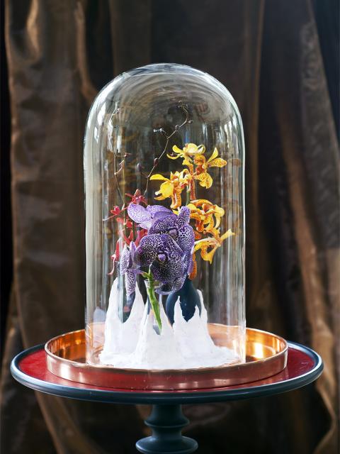 DIY: Wundervolle Blütenpracht unter Glas - Tollwasblumenmachen.de